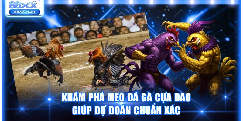 mẹo đá gà cựa dao
